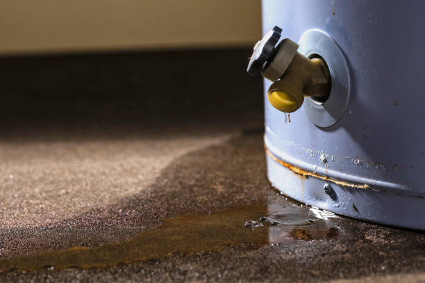 Best Water damage cleanup near me  in Grover, WY