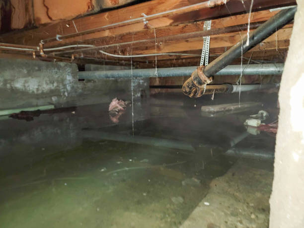 Best Local water damage restoration  in Grover, WY