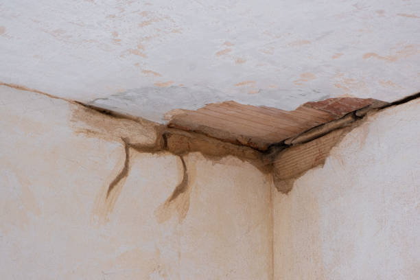 Best Flood restoration services  in Grover, WY