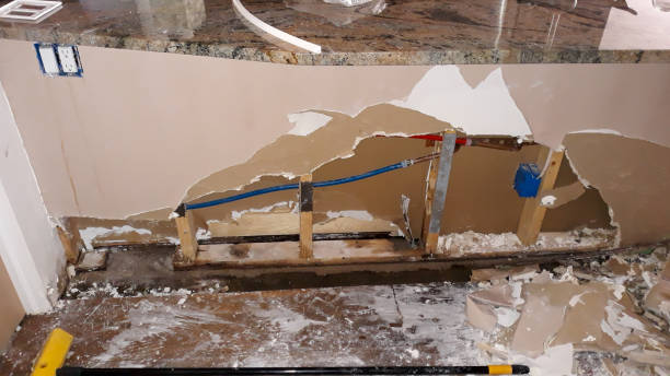 Best Ceiling water damage repair  in Grover, WY
