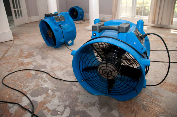 Best Fire Damage Restoration  in Grover, WY