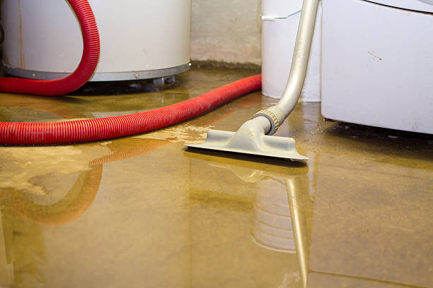 Best Water damage mitigation services  in Grover, WY