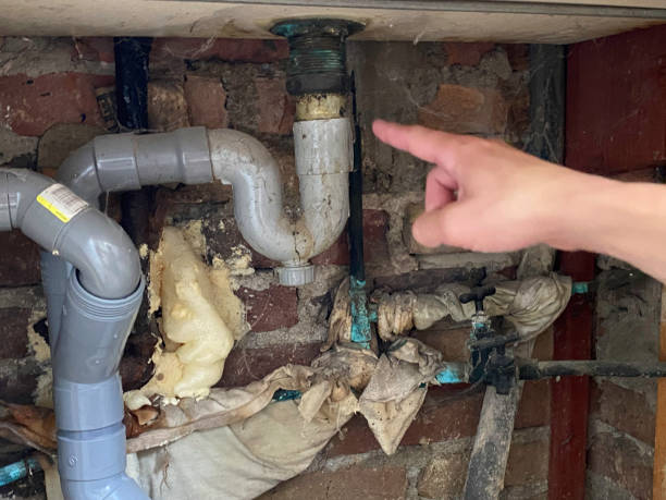 Best Water damage repair service  in Grover, WY